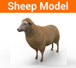 pecore in low poly modello animale aia pecora farm gregge gioco pascolare la carne di agnello il bestiame più basso mammifero mouch001 obj pen poli pastore lana lo zoo 3d print model - Mito3D