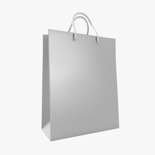 shopping bag 4 alexsan777 beverage carrier container decoration drinking food gift giftbag grocery hires mall model pap paper people sack shop store tote vray 3d print model - Mito3D