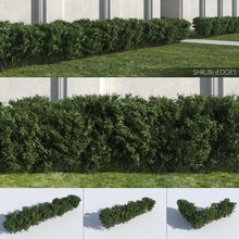 Strauch-Hecken anschließt die Büsche laub Garten grün Boden Hecke Hecken ivy Landschaft Blatt macrox Modell pflanze plantation Sträucher Formschnitt Baum Tal vegetation 3d print model - Mito3D