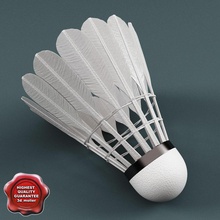 badminton 3d molier Görünümüdür mahkeme eğlence ekipman alan oyun Lig max model açık oynuyor raket spor takım tenis tennisballs V-ray'in 3d print model - Mito3D