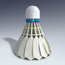 Federball adam badminton Charakter Kleidung übung film Spaß Modell sport walker 3d print model - Mito3D