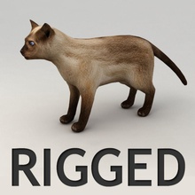 siamese cat rigged model animal biped feline kitten kitty kvakling lowpoly mammal pets rig 3d print model - Mito3D