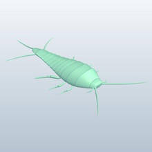 silverfish v1 insects printable lowpoly 3d print model - Mito3D