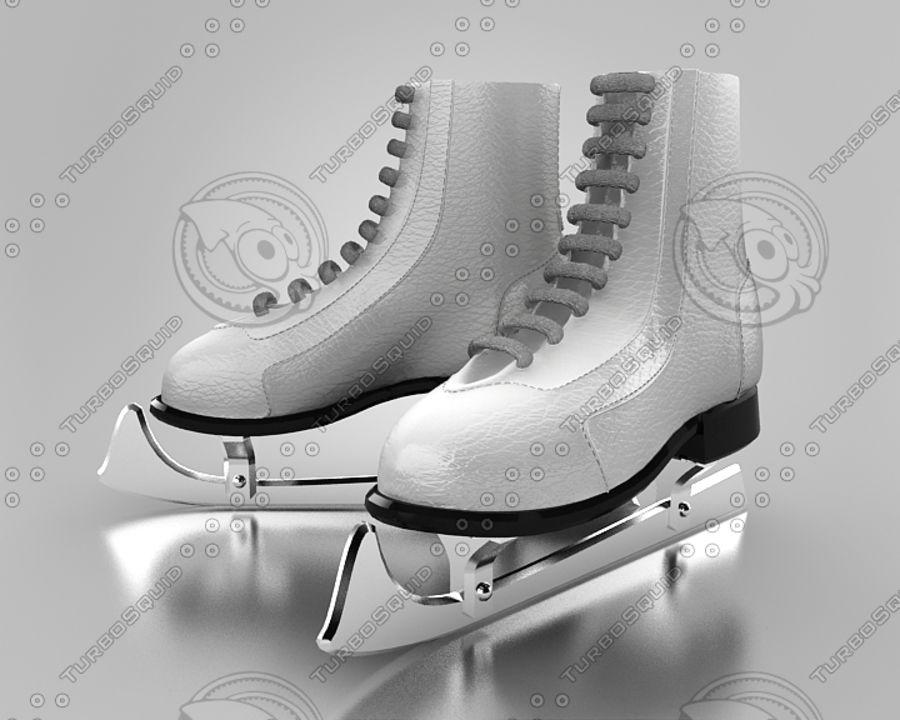 skates 2010 2014 Arenen Kanada Wettbewerb Veranstaltungen Abbildung Fuß Spiel Eishockey Eis Beine Modell Olympischen outdoor rock sachipap skate Schnee Sotschi sport Stadion targe team vancouver winter 3D print model - Mito3D