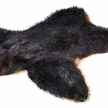 la piel de oso animal alfombra queridos friz3d el pelaje mobiliario muebles cabello ocultar interior modelo proxy realista vray 3d print model - Mito3D