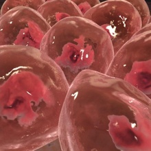 Hautzellen Anatomie Bakterien Biologie Körper Zelle die zelluläre Charakter dna ei Mensch Mann medizinische Mikrobe micros Modell Wissenschaft wissenschaftliche Haut virus xen32 3d print model - Mito3D