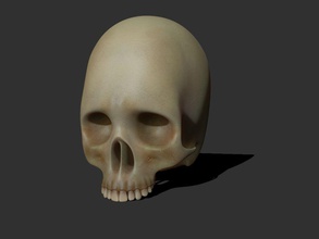 skull anatomy archii body bone character head human model 3d print model - Mito3D