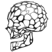 kafatası anatomi mimarlık sanat kemik dekor dekorasyon tasarım elemanları yüz fantezi baş insan iç adam model insanlar bilim iskelet yapısı vegarian voronoi 3d print model - Mito3D