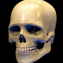 cráneo humano real con textura 3d la anatomía cuerpo hueso carácter juego cabeza humanos de medicina malla modelo calidad esquelético el esqueleto sistema unjosnav 3d print model - Mito3D