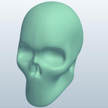 skull v2 anatomy printable lowpoly 3d print model - Mito3D