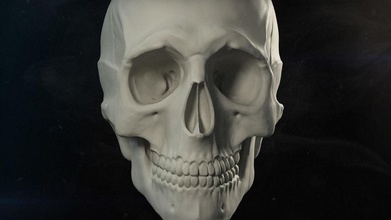 skull 3d 3dsmax alex roe anatomy animation art body bone character digital face free game head human maya model muscle obj object sculpt skelet throne zbrush 3d print model - Mito3D
