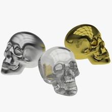 cráneos la anatomía de arquitectura cuerpo hueso carácter las civilizaciones el cristal dalex3d elementos futurista vidrio oro cabeza humanos metal modelo misteriosa místico edad cráneo acero 3d print model - Mito3D