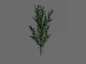petit arbre plantes 3d print model - Mito3D