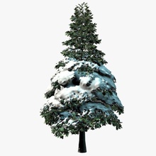 1 kar ağaç 3world Noel soğuk kozalaklı serin dökmeyen dış orman tatil buz model çam bitki gerçekçi santa snowtree snowy kış xmas 3d print model - Mito3D