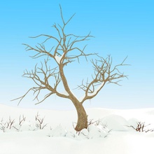 árvore de neve inverno 3ds amaranthus ramo arbustos dos desenhos animados natal coleção tampa folha caduca floresta férias max modelo natureza planta definir a snowtree toon madeira 3d print model - Mito3D