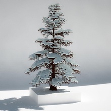 kar ağaç mimarlık bender2013 Noel soğuk kozalaklı serin dökmeyen orman buz model çam bitki santa snowtree yapısı kış xmas 3d print model - Mito3D
