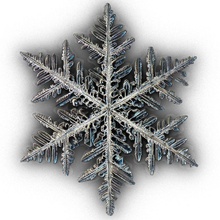 snowflake maral123 model science 3d print model - Mito3D