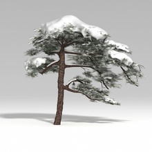 snowtree v1 3dbleader christmas conifer evergreen exterior forest holiday ice model pine plant santa shu snow snowy tree winter 3d print model - Mito3D
