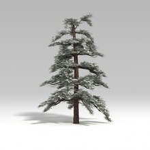 snowtree v4 3dbleader christmas conifer evergreen exterior forest holiday ice model pine plant santa shu snow snowy tree winter 3d print model - Mito3D
