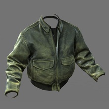 soldier ww2 usa pilot jacket airborne army aviator camo captain character clothes combat female glen harris human male man military model people plane rig sim us wwii 3d print model - Mito3D