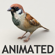 sparrow animato animale animata becco bird canarie piuma finch kvakling più in basso lowpoly modello poli starling ingoiare ala 3d print model - Mito3D