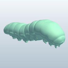 spicebush rabo de andorinha caterpillar v1 insetos printable lowpoly 3d print model - Mito3D