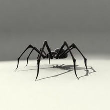 l'araignée animal arachnid arachnoïde de la bête noir bug catch cocon d'analyse les créatures sombre saleté aliments flytrap sol insectes nature prédateur fil discussion virez web widdow 3d print model - Mito3D