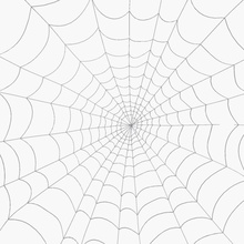 spider web animale il bug la cattura cob angolo deadfall sporco gli insetti masinac modello natura net rete insidia pianta di seta rullante springe trappola muro 3d print model - Mito3D