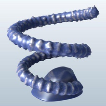 v1 spiral Tel mercan balık su hayat yazdırılabilir lowpoly 3d print model - Mito3D