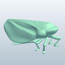 spittlebug v2 insects printable lowpoly 3d print model - Mito3D