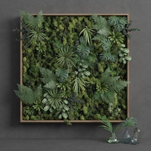 Kare yeşil Yosun 150cm x ayarlayın mimarlık dekoratif tasarım kulak fil çiçek çim iç yaprak canlı model monstera moss olyakrushelnytska19 bitki sahne dikey duvar 3d print model - Mito3D