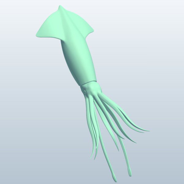 squid v1 Fisch aquatic Leben bedruckbar ist lowpoly Wasserorganismen 3D print model - Mito3D