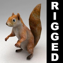 squirrel rigged animal beast bip bone character chipmunk creatures fur kvakling lowpoly mammal model real rig rodent time wild 3d print model - Mito3D