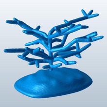 coral v1 yaygındır corral balık su hayat mercan yazdırılabilir lowpoly 3d print model - Mito3D