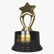 star trophy 1st ahearnart3d awards baseball ceremony crown football gold medal model place plaque prize ribbon silver soccer sport tracks triumph victory winner winning 3d print model - Mito3D