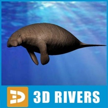 stellers sea cow 3divers 3dr040 3drivers ancient animal dead extinct genus giant gigas hydrodamalis large mammal manatee old past underwater wildlife 3d print model - Mito3D