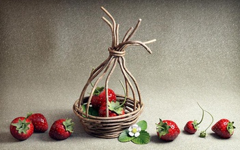 strawberries berrie berry cruet fabric flower food fruit leaf model nature strawberry thecoolmaker twigs wood 3d print model - Mito3D