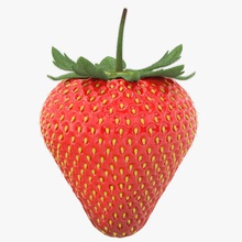strawberry berry food fruit jondacosta leaf max model photorealistic plant real realistic seed strawberry vegetable vray