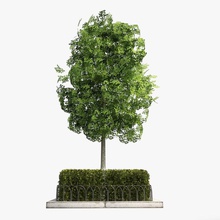 street tree planter 3 architecture d e elements grate landscape model parking plant sidewalk 3d print model - Mito3D