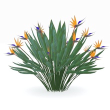 strelitzia reginae áfrica arquitetura pássaro guindaste flor jardim paisagem modelo o paraíso planta ppalhais cena arbustos do sul tropical 3d print model - Mito3D