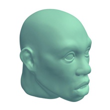 surprised facial expression v2 people printable lowpoly 3d print model - Mito3D
