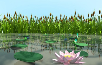 bataklık bitkiler çizgi film toplama dragonfly ducky masal peri lily model bitki reedmace basit şanssız su 3d print model - Mito3D