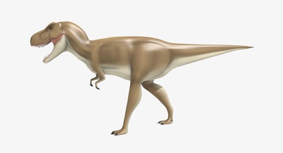 t-rex hayvan asorxy canavar karakter dino dinozorlar şekil jurassic kertenkeleler model rex t trex tyrannosaurus 3d print model - Mito3D