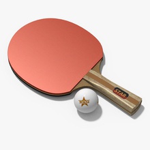 racchetta da ping pong 3d 3ds palle bat cyberworlduser attrezzature max modello obj pagaia il pingpong set sport tabella tenis tennis 3d print model - Mito3D