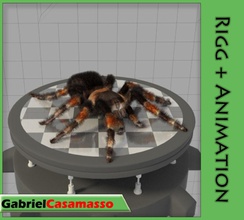 tarantula animais arachnid aracnóide gabrielcasamasso insetos modelo rigg aranha 3d print model - Mito3D