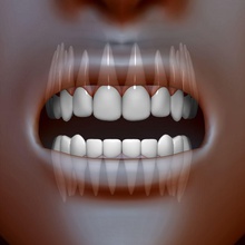 teeth anatomy bicuspid body bone canine character cuspid dental dentist dentistry dentition enamel female gum human incisor male medical medicine model molars mouth people science vegarian 3d print model - Mito3D