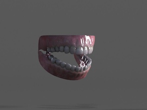 dents gencives 3d l'anatomie corps la cavité caractère le dentiste gomme tête de l'homme maillage modèle bouche orthodontiste pièces sergeiii shader vray femme 3d print model - Mito3D