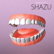 i denti insieme l'anatomia corpo carattere dental umana medico modello scienza set shazu 3d print model - Mito3D