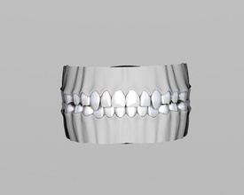 Zähne, die Zunge Anatomie Körper Charakter weiblich gum Kopf Mensch Kiefer Modell Gaumen rainer572 Zähne 3d print model - Mito3D