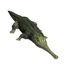 teleosaurus v1 dinozorlar yazdırılabilir lowpoly 3d print model - Mito3D